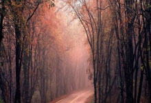 恭喜杜锋!广东队想啥来啥,季后赛对手确定,躲过所有强队太幸运.