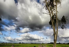 女排新帅曝光!蔡斌卸任有玄机,郎平或再次回归.