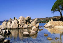 V体育官方网站：WTT新加坡大满贯王曼昱／蒯曼晋级女双8强央视新闻客户端.